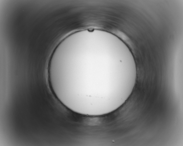 X0000089851431200707191854