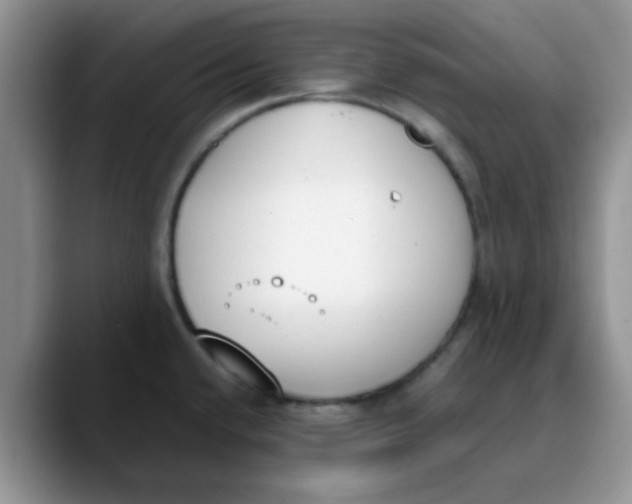 X0000089851432200707191854