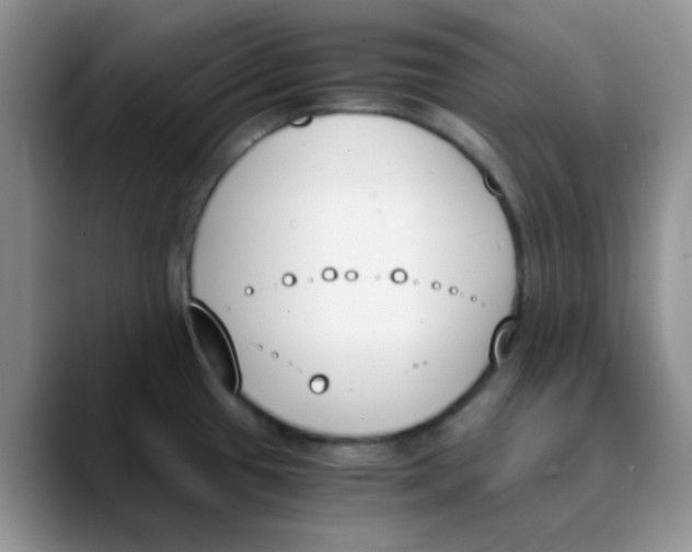 X0000089851433200707191854