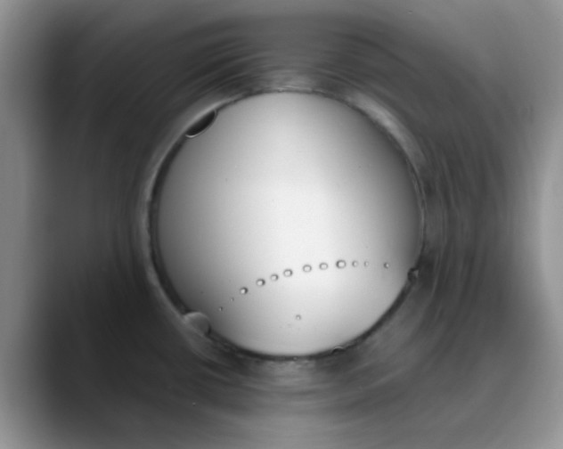 X0000089851434200707191854