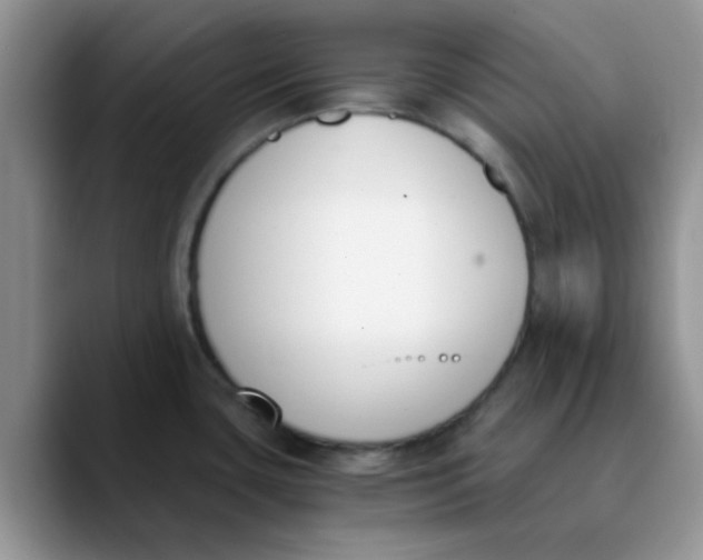 X0000089851435200707191854