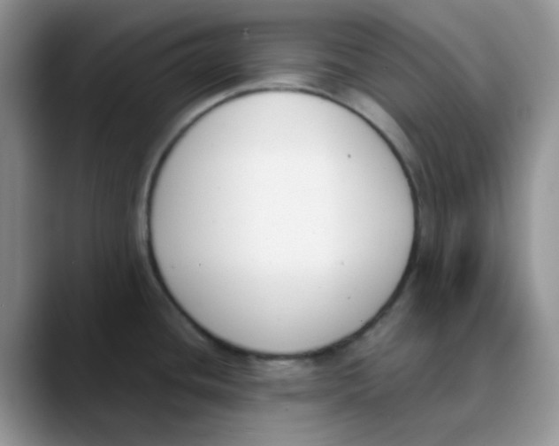 X0000089851436200707191854