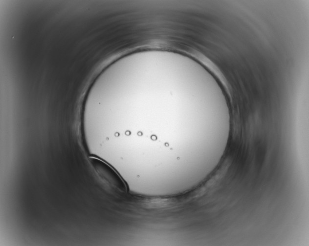 X0000089851437200707191854