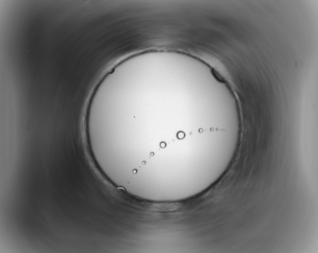 X0000089851440200707191854