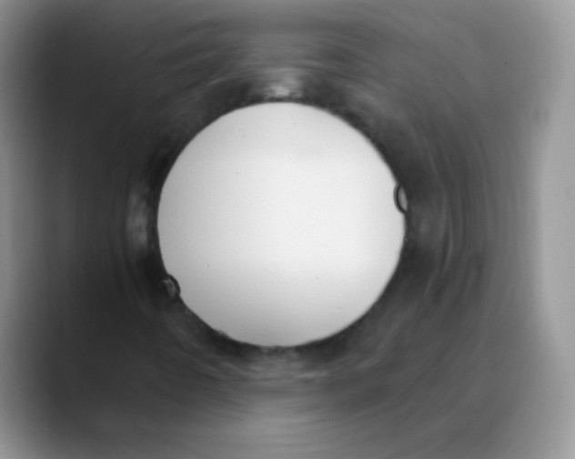 X0000089851442200707191854