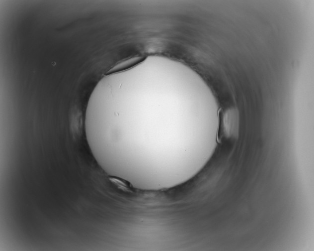 X0000089851443200707191854