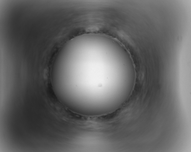 X0000089851445200707191854