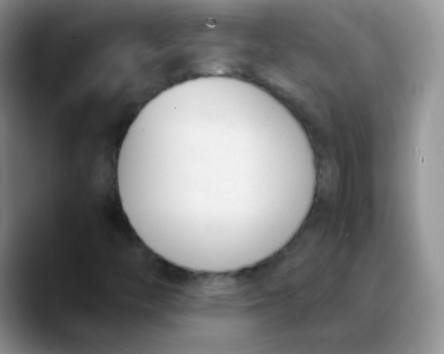 X0000089851446200707191854