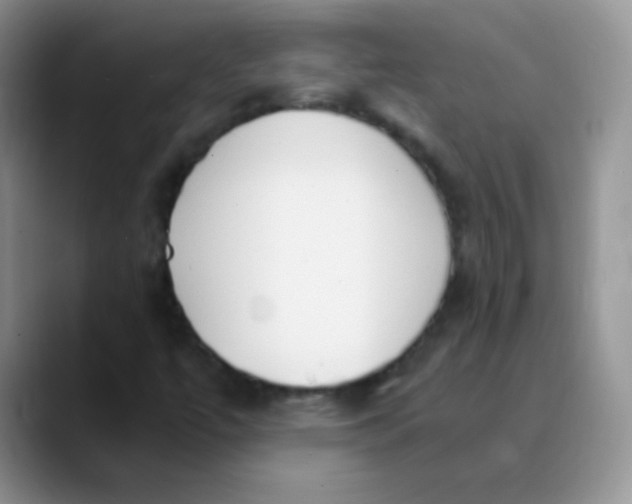 X0000089851447200707191854