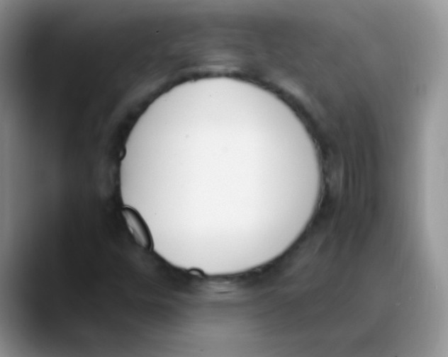 X0000089851448200707191854