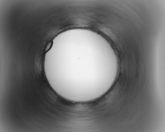 X0000089851451200707191854