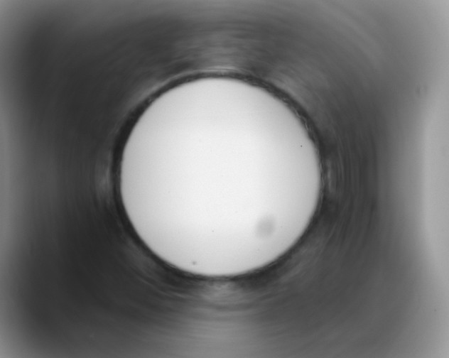 X0000089851452200707191854