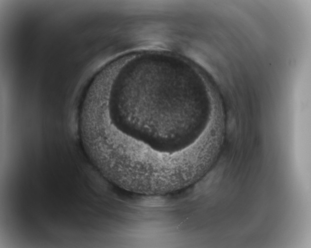 X0000089851455200707191853