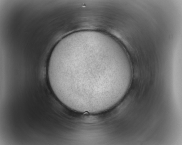 X0000089851459200707191853