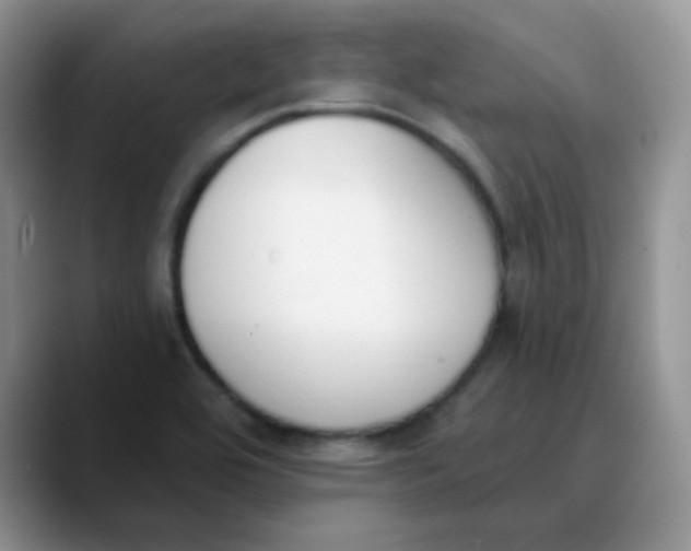 X0000089851464200707191853