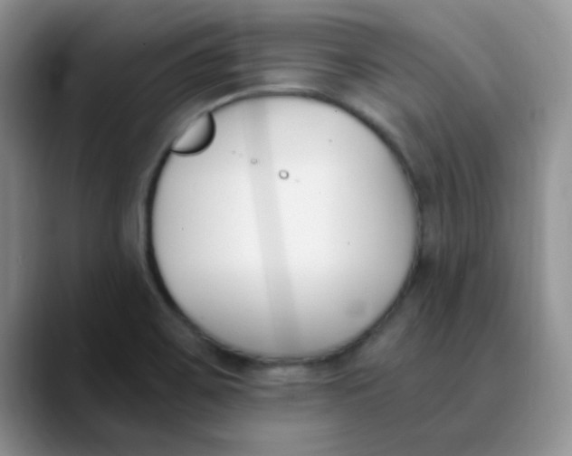 X0000089851467200707191853