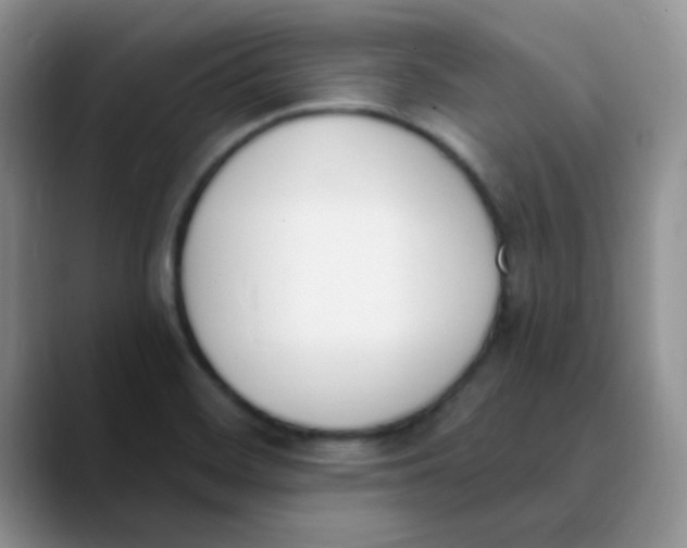 X0000089851468200707191853