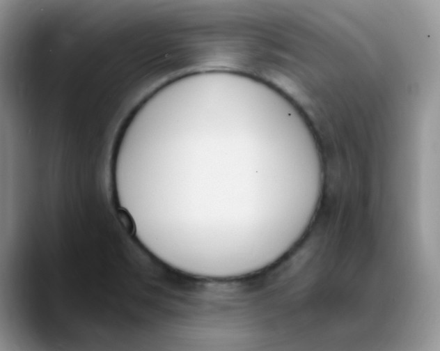 X0000089851469200707191853