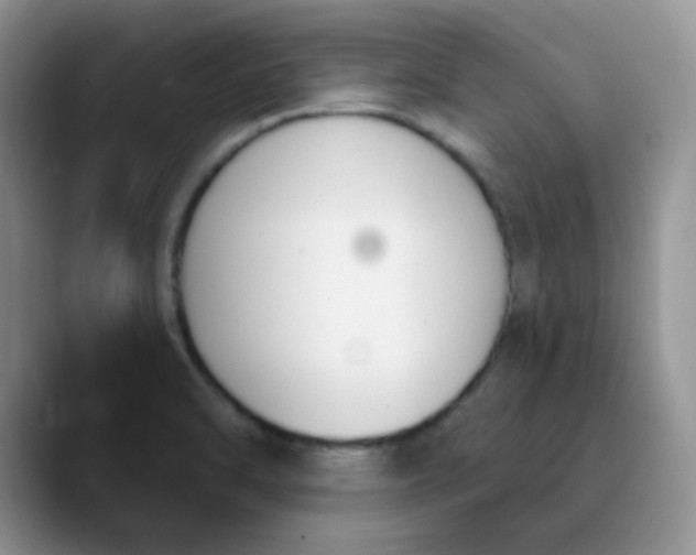 X0000089851470200707191853