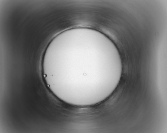 X0000089851471200707191853