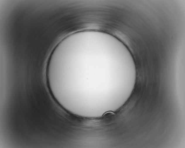 X0000089851475200707191853