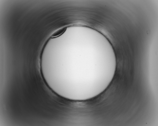 X0000089851476200707191853