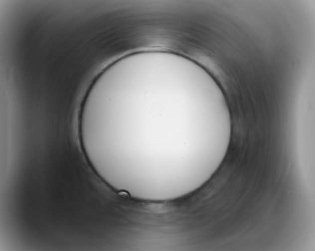 X0000089851480200707191853