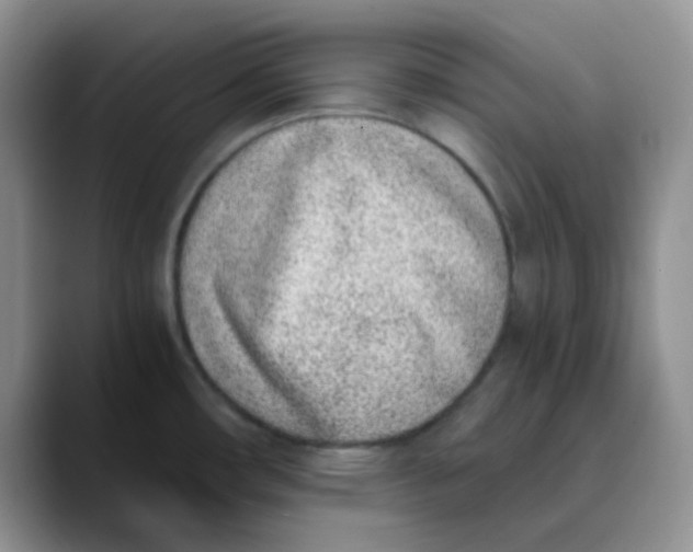 X0000089851482200707191853