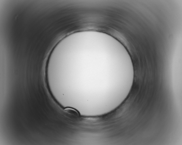 X0000089851483200707191853