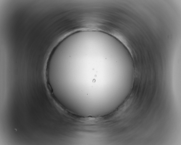 X0000089851485200707191853