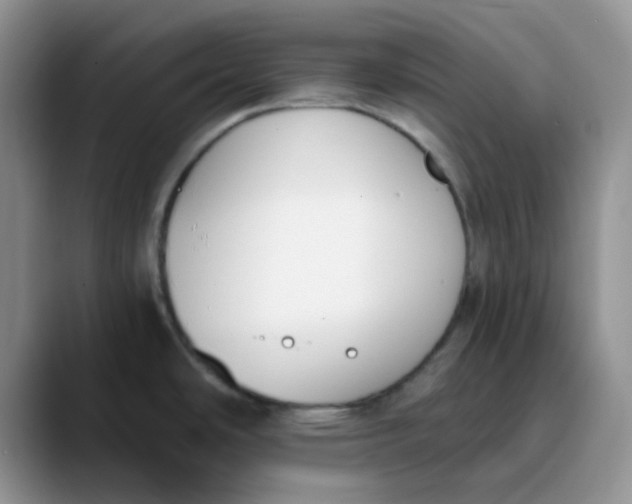 X0000089851486200707191853