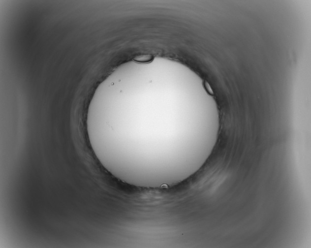 X0000089851489200707191853