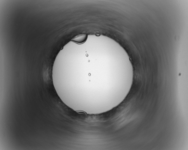 X0000089851490200707191853