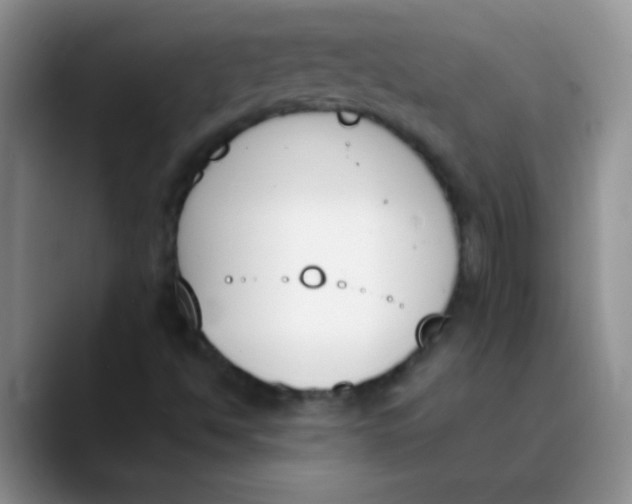 X0000089851494200707191853