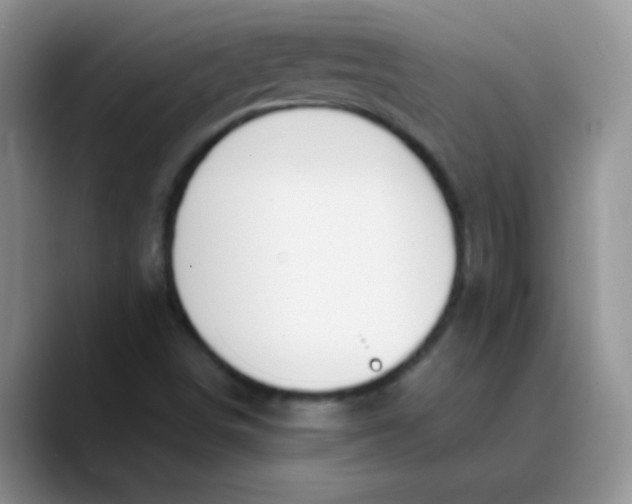 X0000089851498200707191853