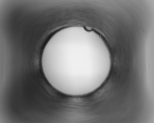 X0000089851499200707191853