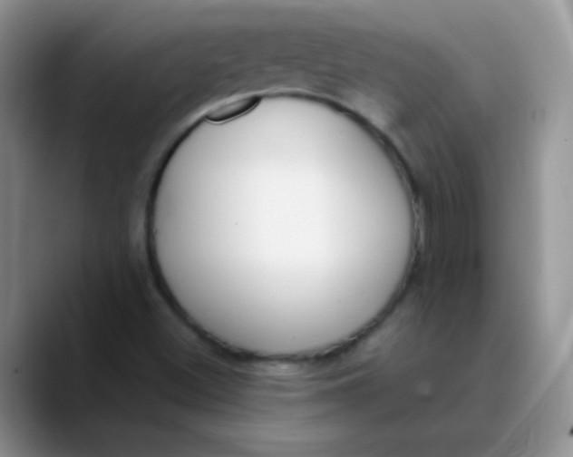 X0000089851500200707191853