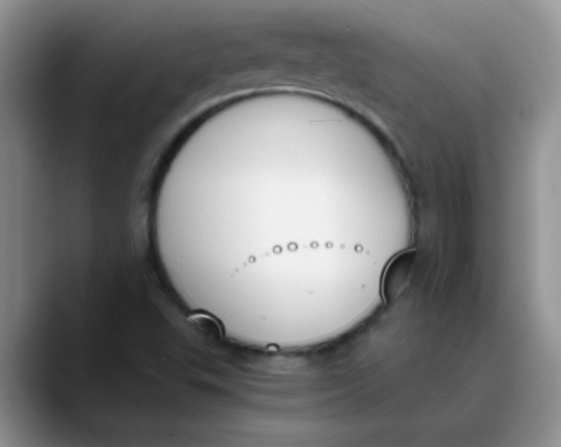 X0000089851503200707191853