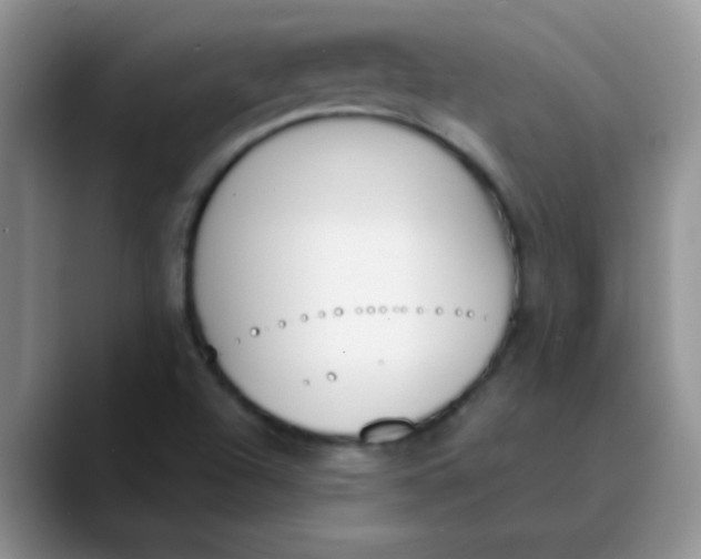 X0000089851504200707191853