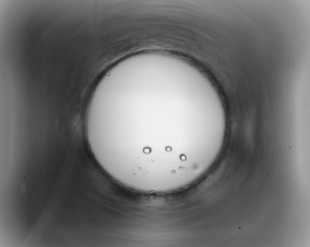 X0000089851505200707191853