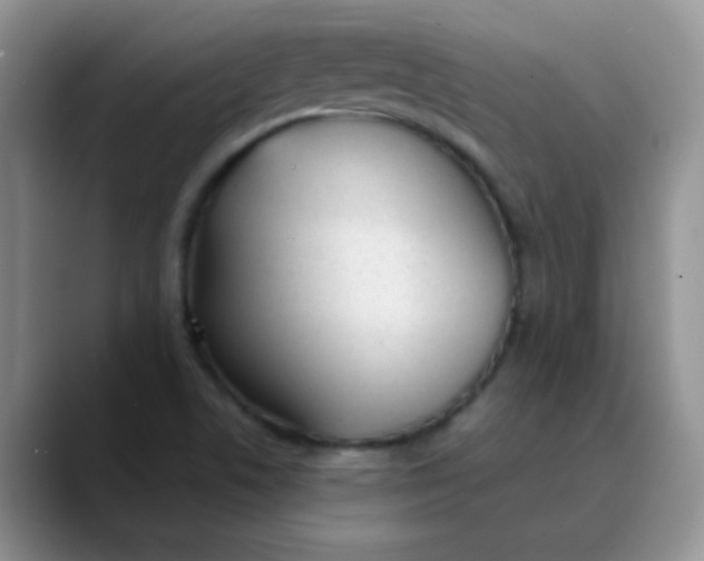 X0000089851506200707191853