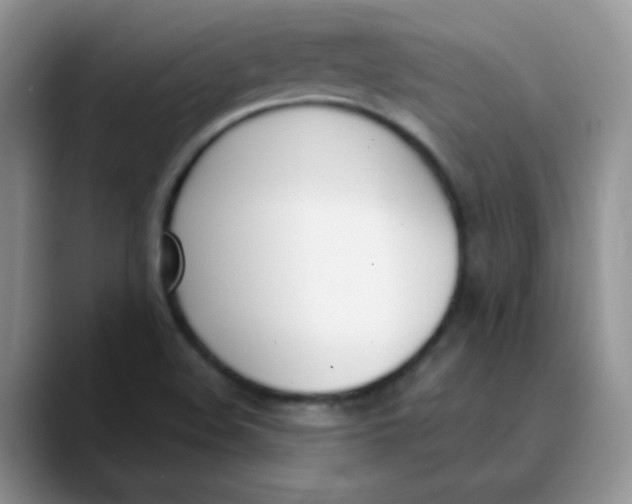 X0000089851508200707191853