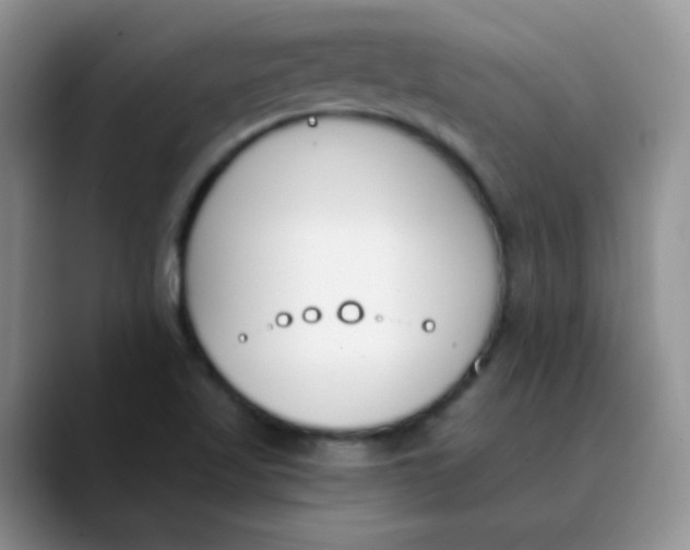 X0000089851509200707191853