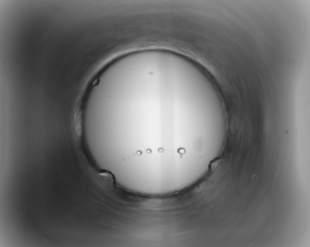 X0000089851510200707191853