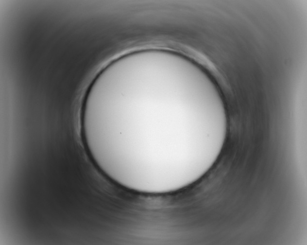 X0000089851512200707191853