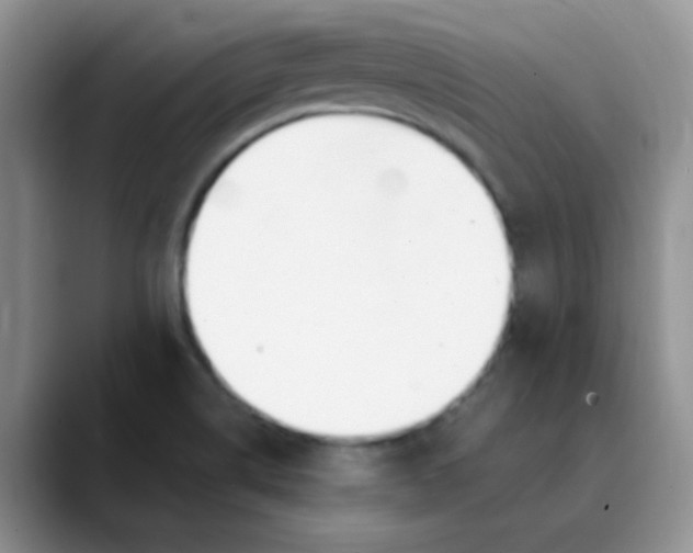 X0000089851514200707191853