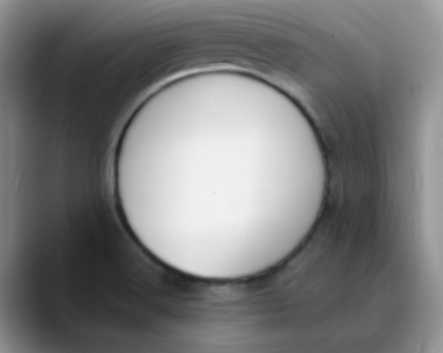 X0000089851516200707191853