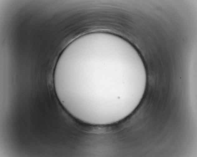 X0000089851521200707191853