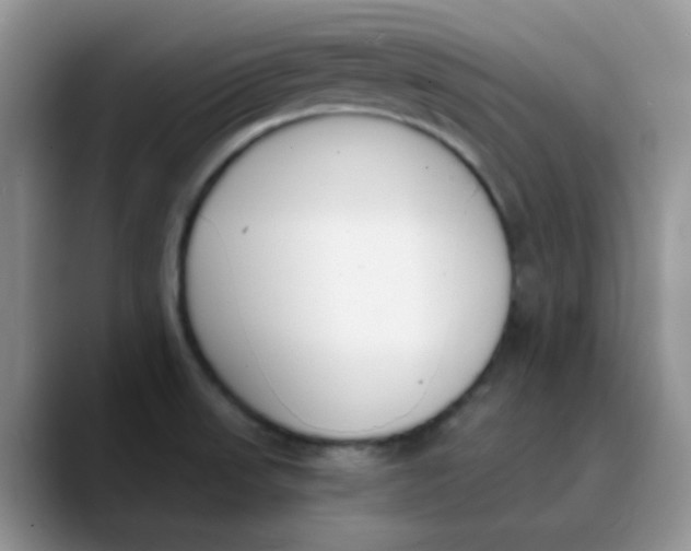 X0000089851523200707191853