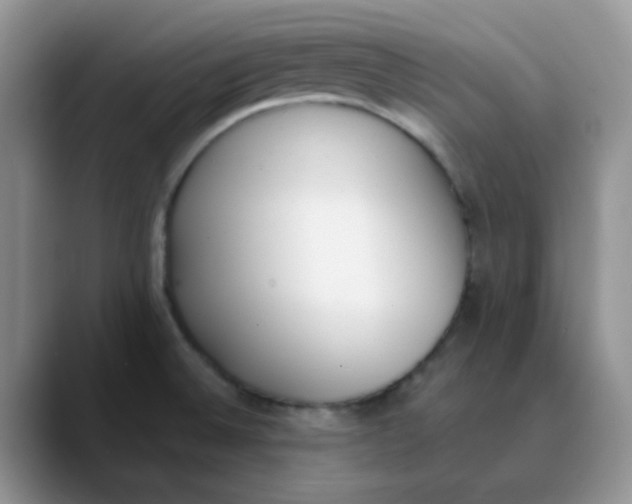 X0000089851524200707191853